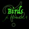 Birds (feat. Harm OLA) - Konundrum lyrics