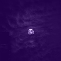 Lullaby - Single - Lilac