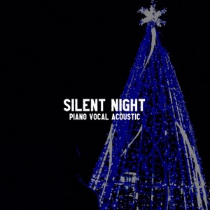 Silent Night (feat. Pierre H) [Piano Vocal Acoustic] [Acoustic] - Single