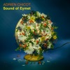 Adrien Chicot Boubou's Bubbles Sound of Eymet