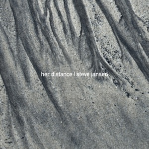 Her Distance (feat. Perry Blake) - Single