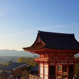 A Good Trip Nothingtosay