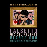 Entregate (feat. Falsetto, Blanco Oro, Sensei Música & MedyLandia) - Single - Mic Delincuente
