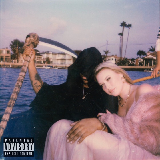Cover artwork for D.I.D