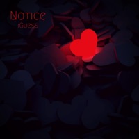 Notice - Single - Iguess