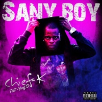 Sany Boy (feat. Yung D) - Single - Chief K