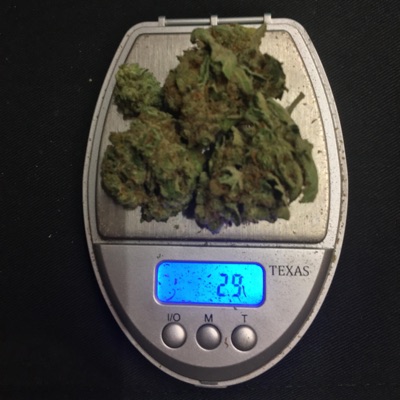 Packets und Papiere - Single