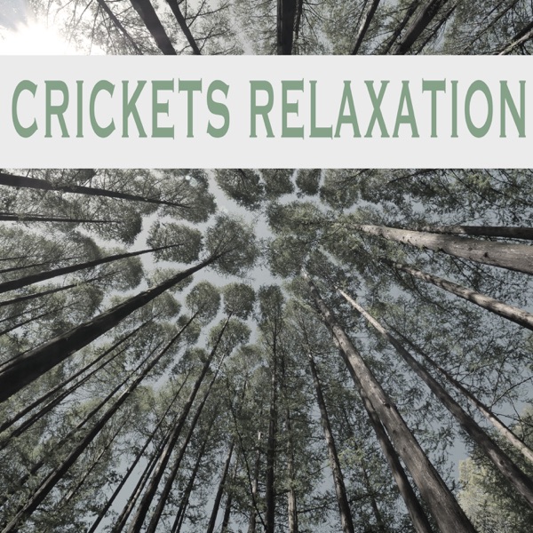 Crickets Relaxation - EP