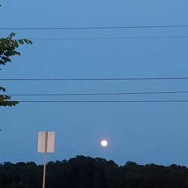 Night Terrors Thclutch