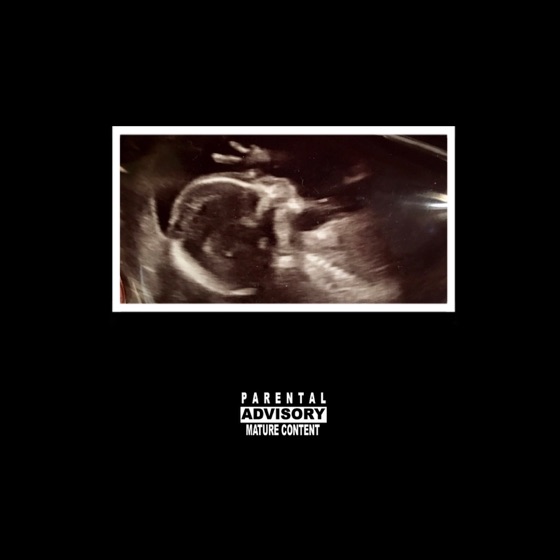 Cover artwork for There from the Start