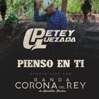 Pienso en Ti (feat. Banda Corona Del Rey) - Single - Petey Quezada