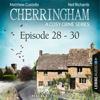 Episode 28-30 - A Cosy Crime Compilation - Cherringham: Crime Series Compilations 10 (Unabridged) - Matthew Costello & Neil Richards