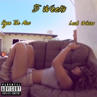 5 Weeks (feat. LeahWrites) - Single - Ryan the Mac
