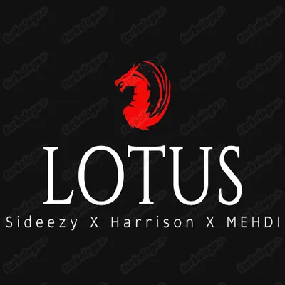 Lotus - Single - Mehdi