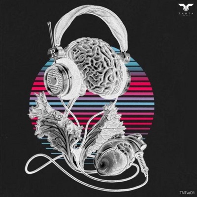 Tanta Music VA 001