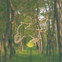 Little Foxes - Single - Majent