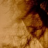 Luciole Luciole Luciole - Single