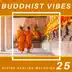 25 Buddhist Vibes - Music to Follow the Path of Buddha, Divine Healing Melodies album cover