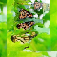 Heading Out Soon - Single - Jac Starling