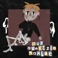 Düsfunktsionaalne