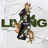 Living - Single - Joe Boii