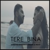 Tere Bina (feat. NDot) - Single