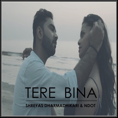 Tere Bina (feat. NDot) - Single