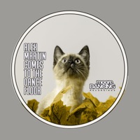 Alex Martin Comes to the Dancefloor - Alex & Martin