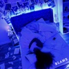 Blame - Single