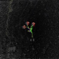 Everything Collapses, Pt. 1 - Single - notactually