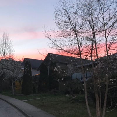 Friendships Don't Last