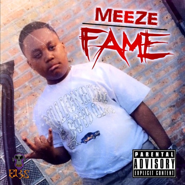 Fame - Meeze