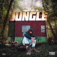 Jungle - Single - Truly Uzi