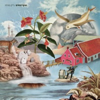 אוקיינוסים - Jane Bordeaux