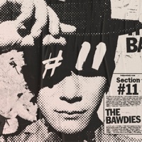 Section #11 - THE BAWDIES