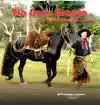 Tio Novo Araújo - Festa no Ap
