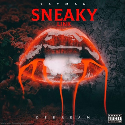 Sneaky Link (feat. DTDREAM) - Single