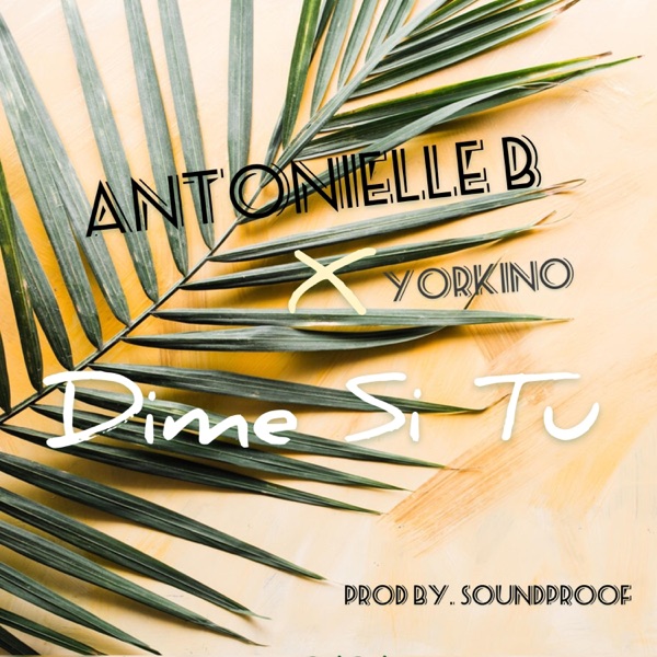 Dime Si Tu (feat. Yorkino)