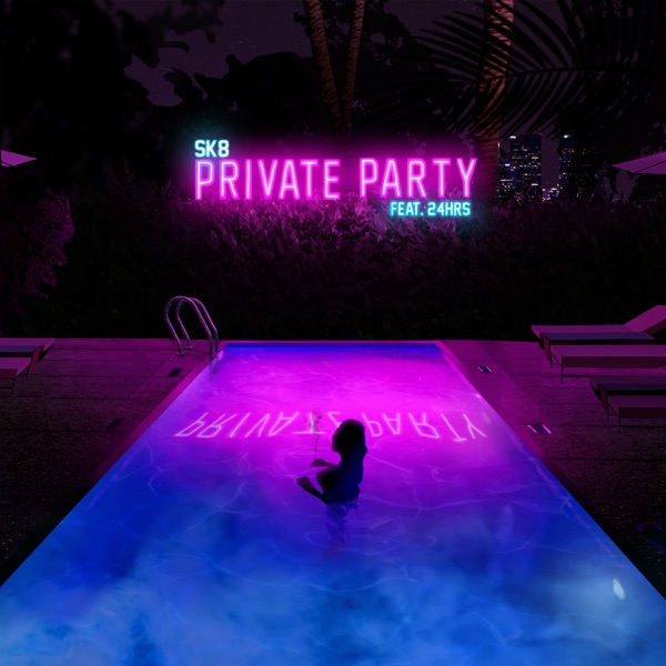 Private Party (feat. 24hrs) - Single - SK8