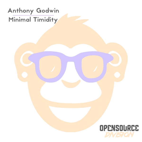 Minimal Timidity - Single