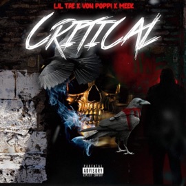 Critical (feat. Meek & Lil Tae) Von Poppi