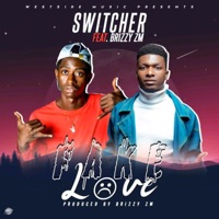 Fake Love (feat. Brizzy Zm) - Single - Switcher ZM