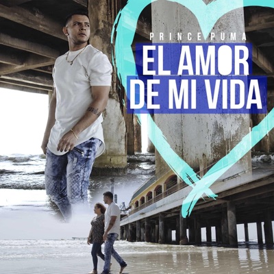 Amor de Mi Vida - Single