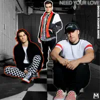 Need Your Love (Michael Schawel Remix) — Mass Anthem