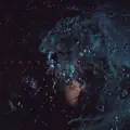 Transbordante
