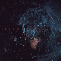 Transbordante