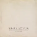 What A Saviour [Live]