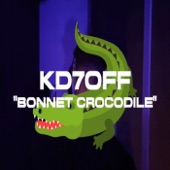 Bonnet Crocodile artwork