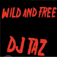 Wild and Free (feat. Dennis Lucky Taylor) - Single - DJ Taz