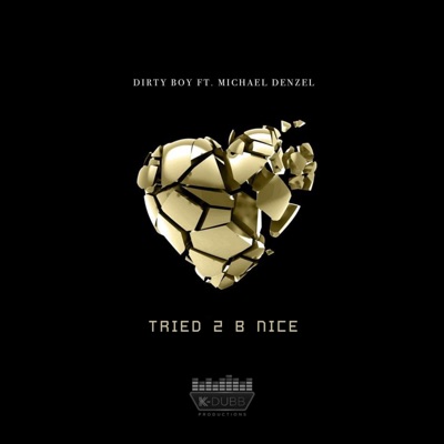 Tried 2 B Nice (feat. Michael Denzel) - Single